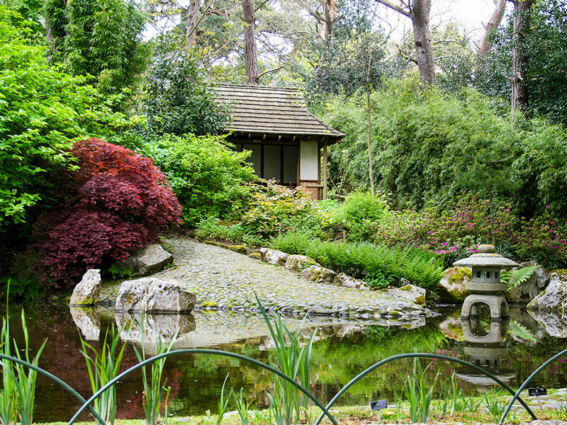 Pinetum Gardens Best Days Out Cornwall
