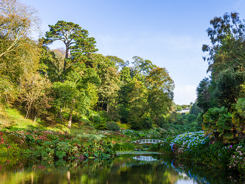 Map - Best Days Out Cornwall