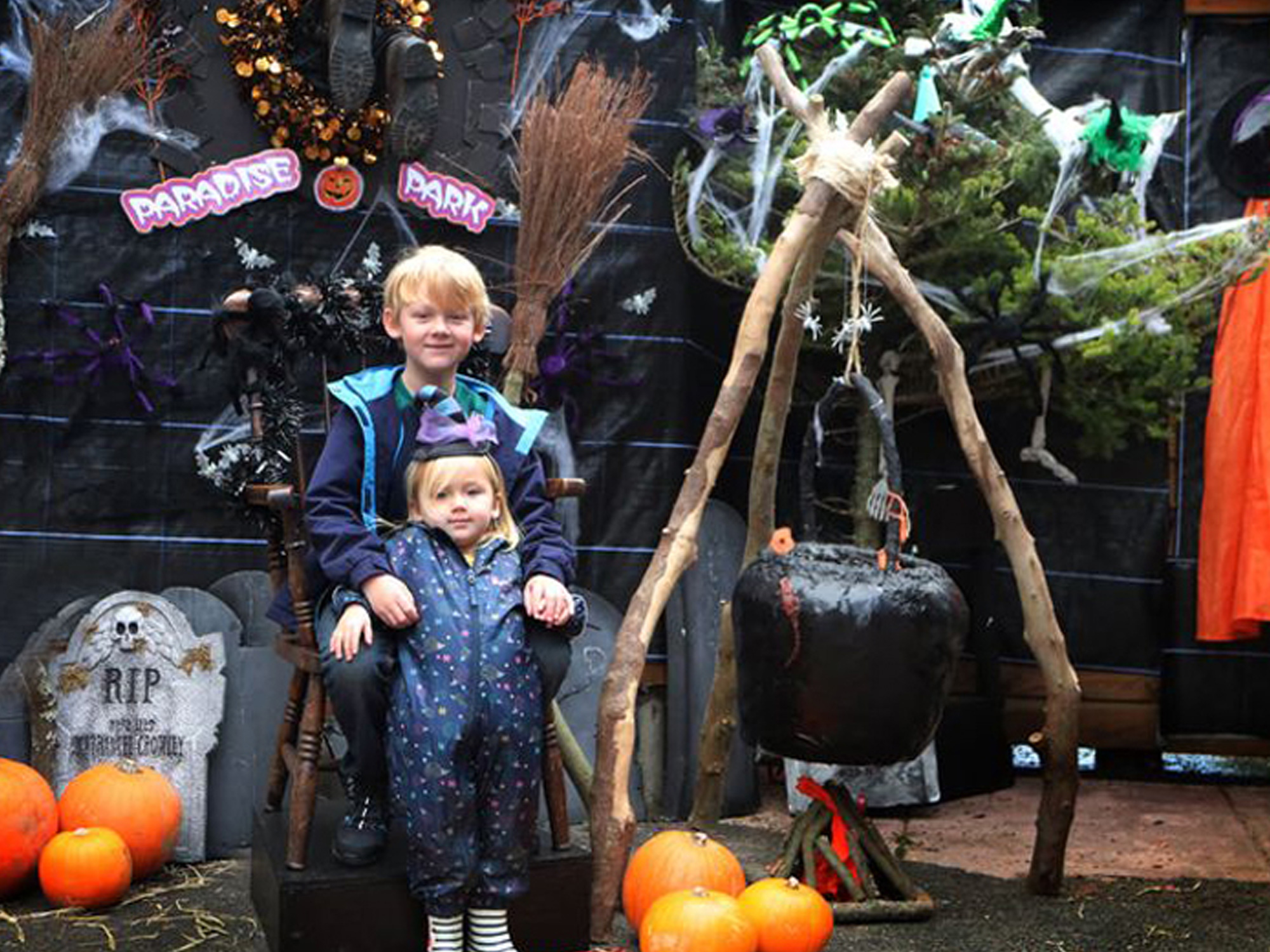A Spooktacular Creepy Halloween Half Term at Paradise Park - Best Days Out Cornwall