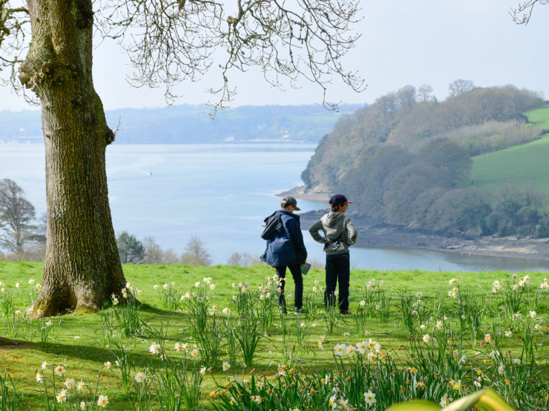 Trelissick Best Days Out Cornwall