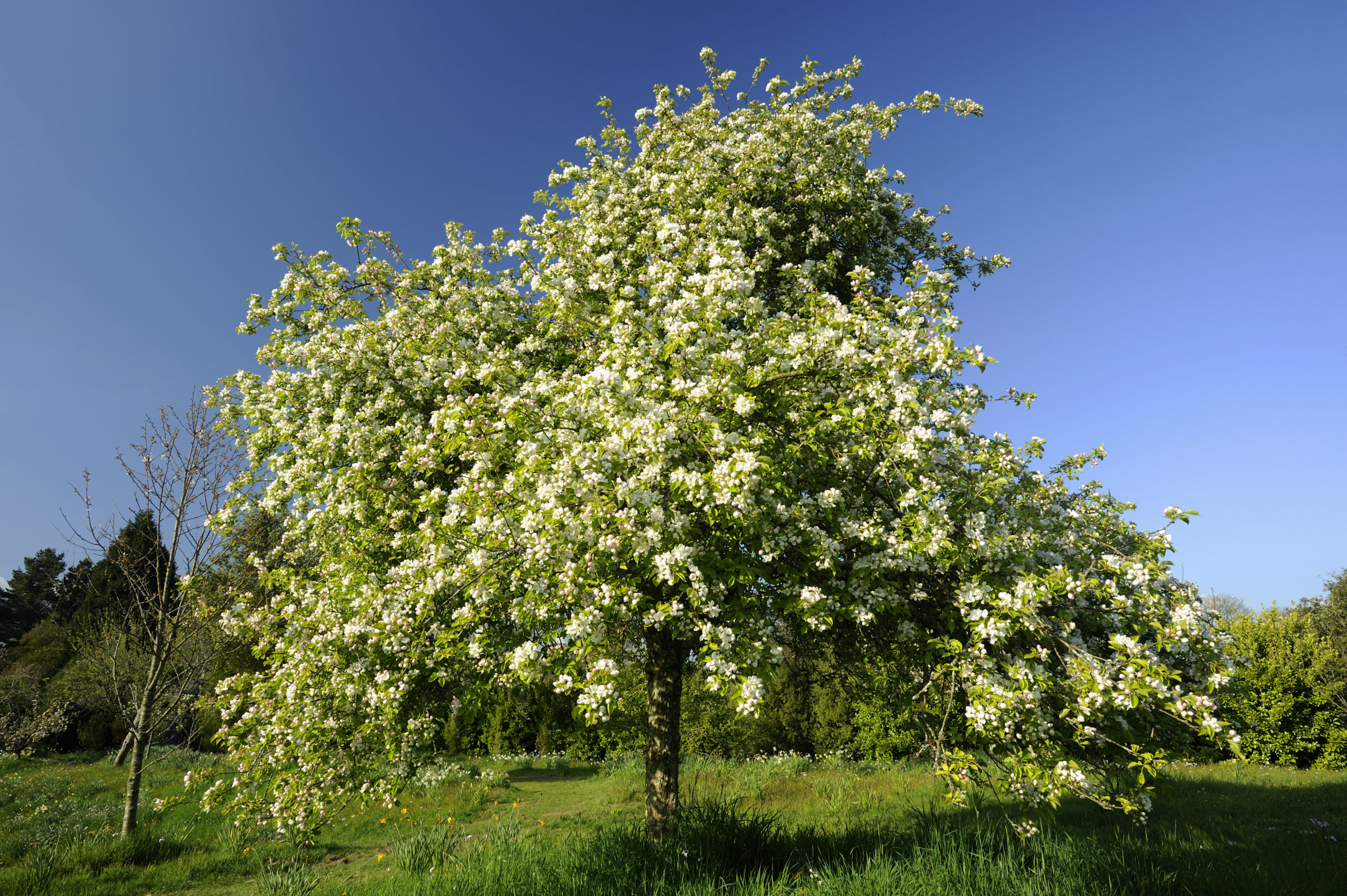 Cotehele’s Grab-and-go art bags 