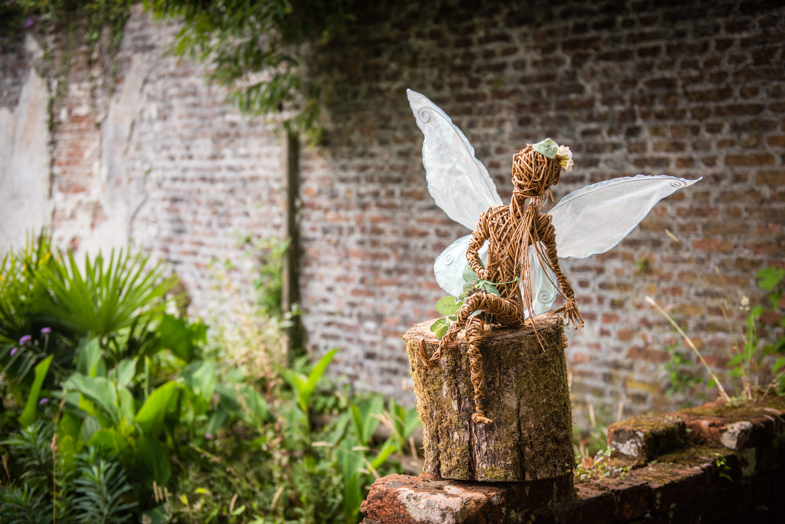 Summer Adventures and The Trail of the Wildflower Fairies at The Lost Gardens of Heligan