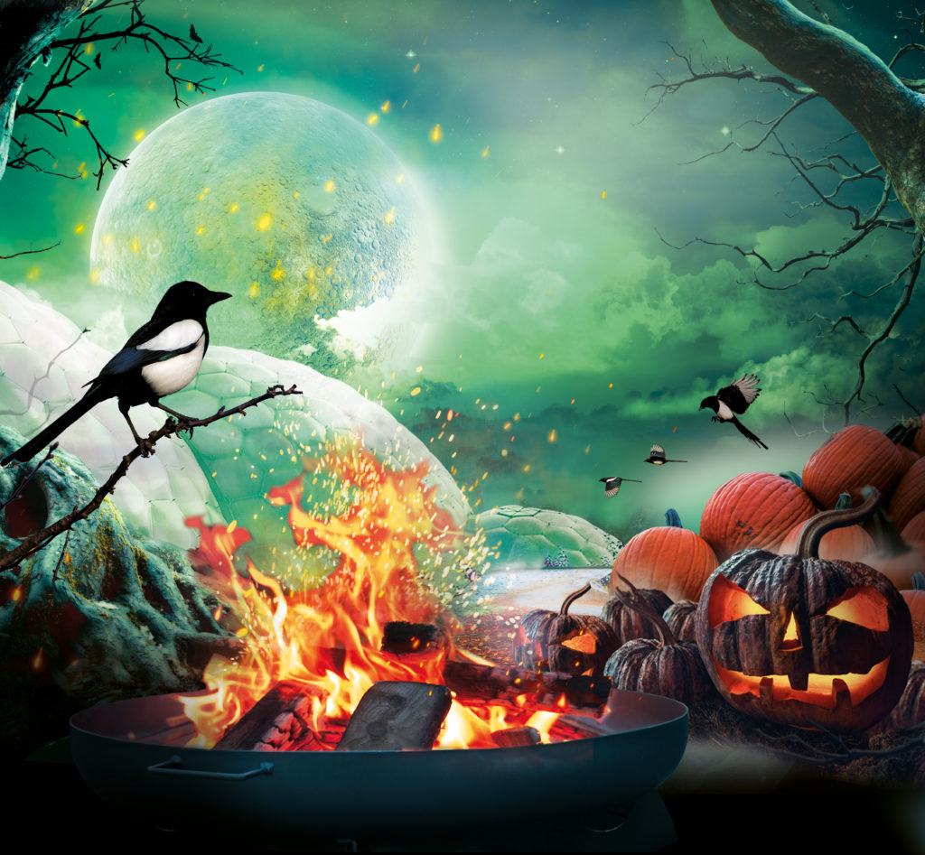 What are Cornwall's top attractions doing for Halloween? Best Days