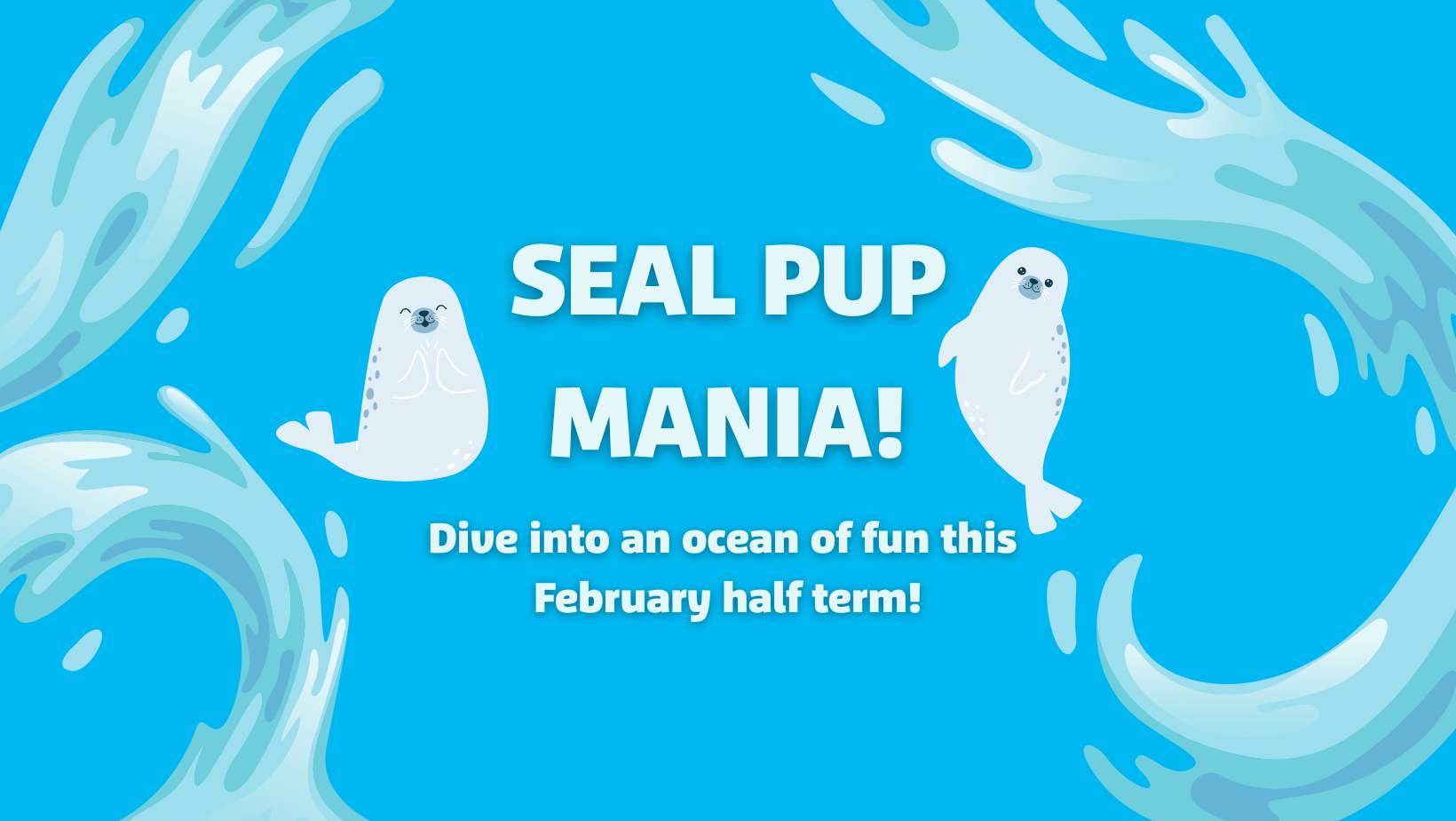 February Half Term at the Cornish Seal Sanctuary