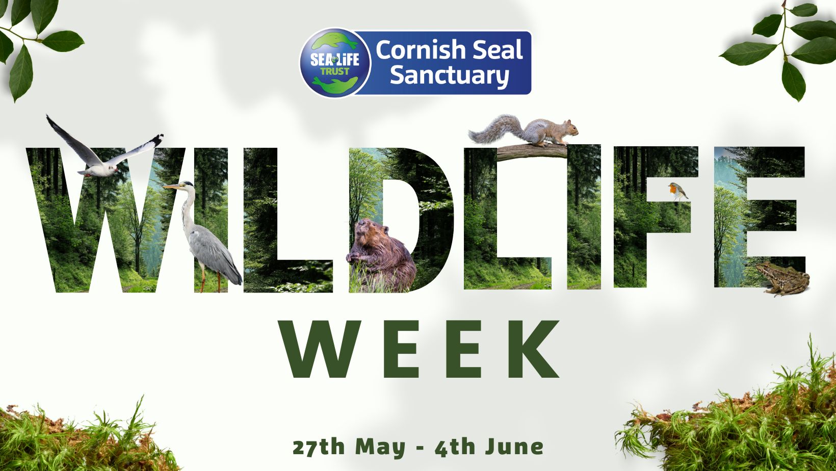 Wildlife Week at the Cornish Seal Sanctuary