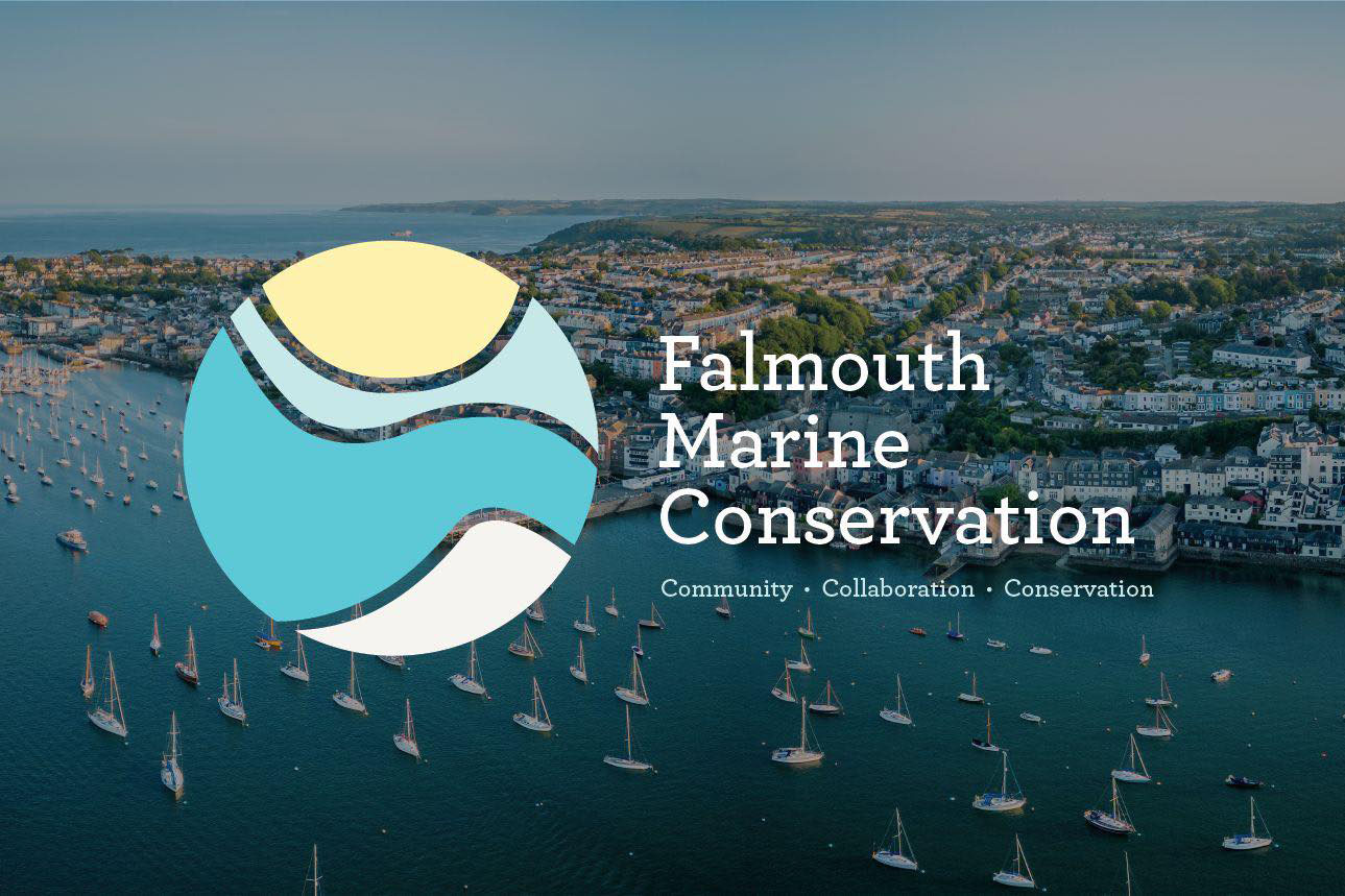 Falmouth Marine Conservation Group Takeover