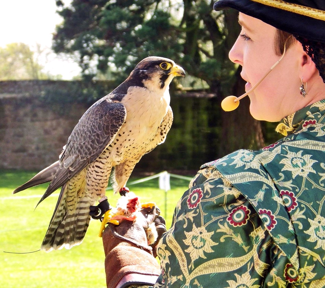 Elizabethan lady at Trerice