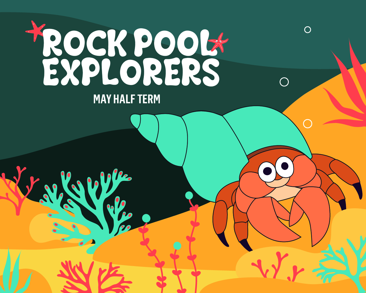 Rock Pool Explorers Best Days Out Cornwall
