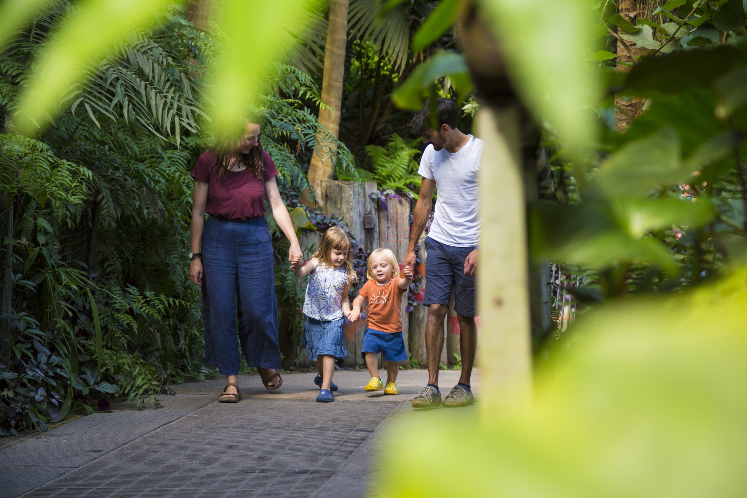 Eden Project