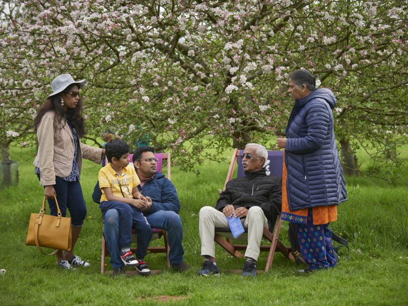 Visitors in the Orchard during the Festival of Blossom at Cotehele, Cornwall