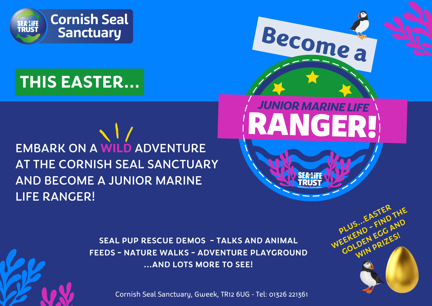 This Easter – Become a Junior Marine Life Ranger at the Cornish Seal Sanctuary!