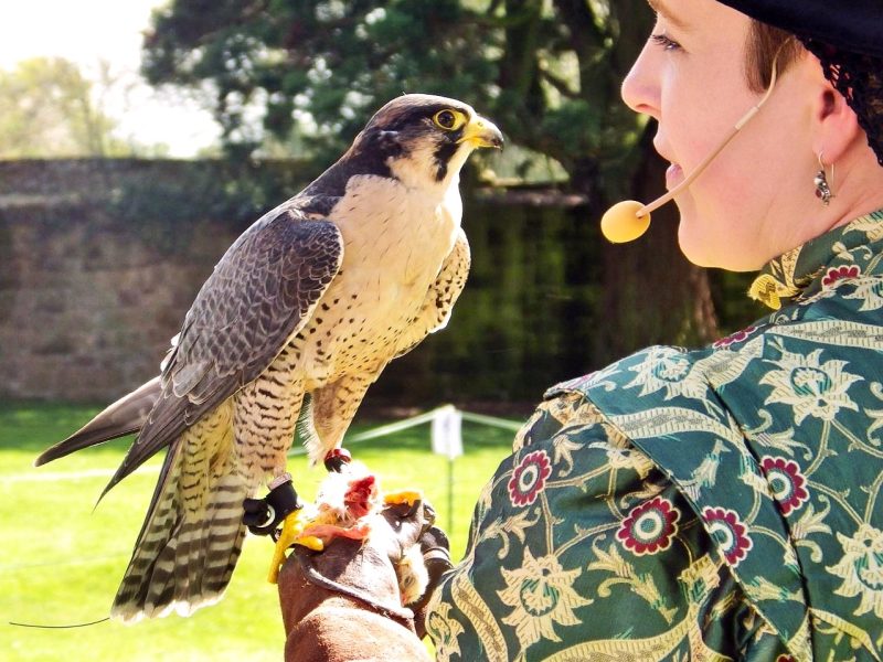 Tudors event at Trerice