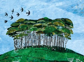 The Timeless Tamar at Cotehele – from the moors to the sea