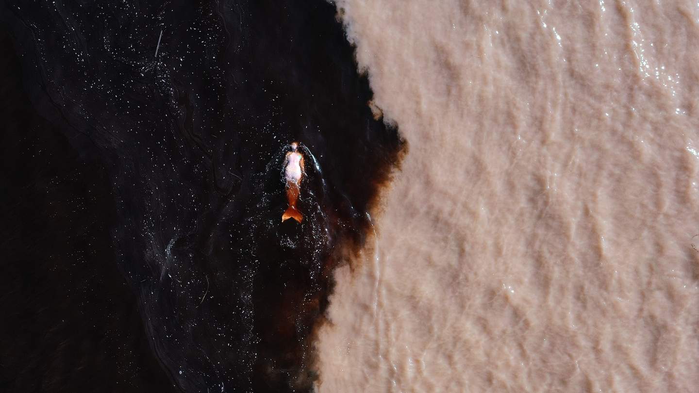 Emilija Škarnulytė at Tate St Ives