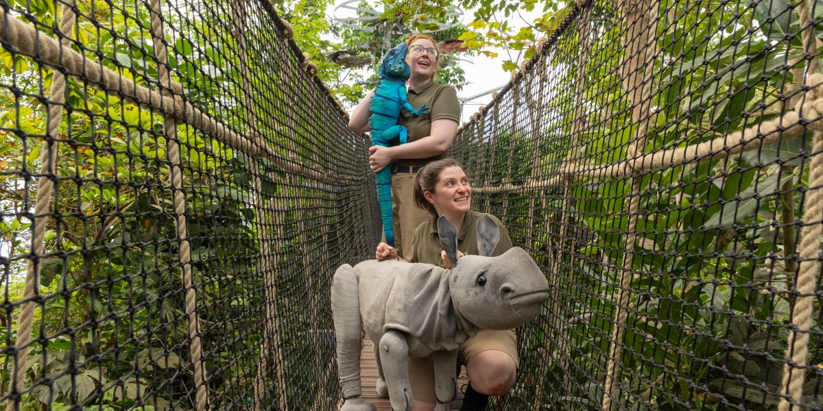 Bridges at the Eden Project