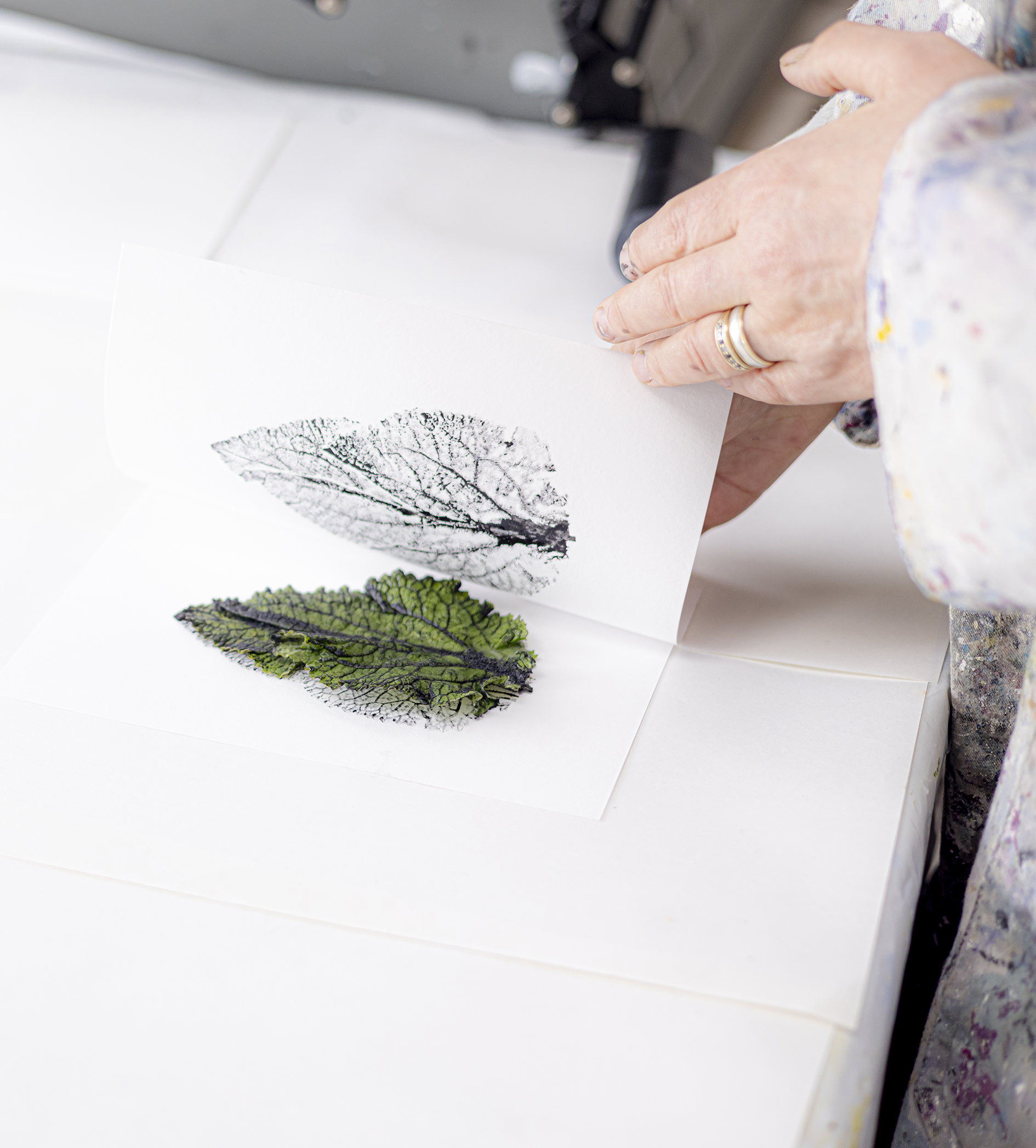 Your Trelissick: monoprinting with Suzy Sharpe