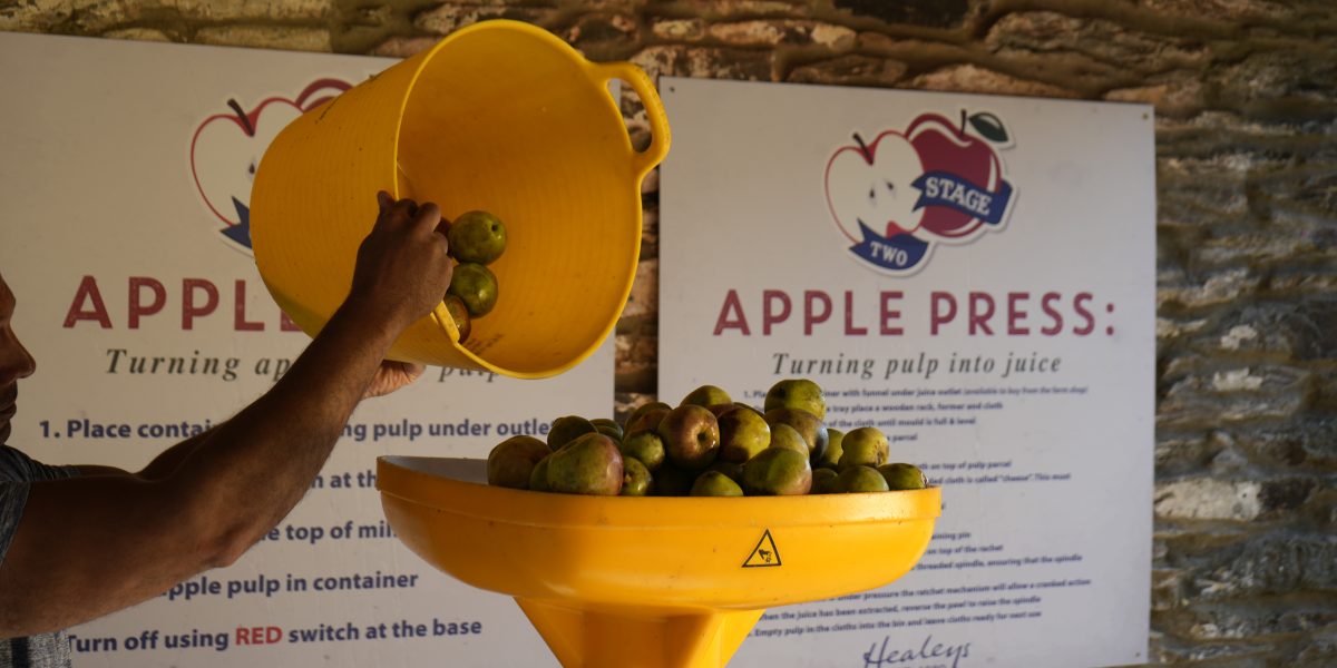 Apple pressing