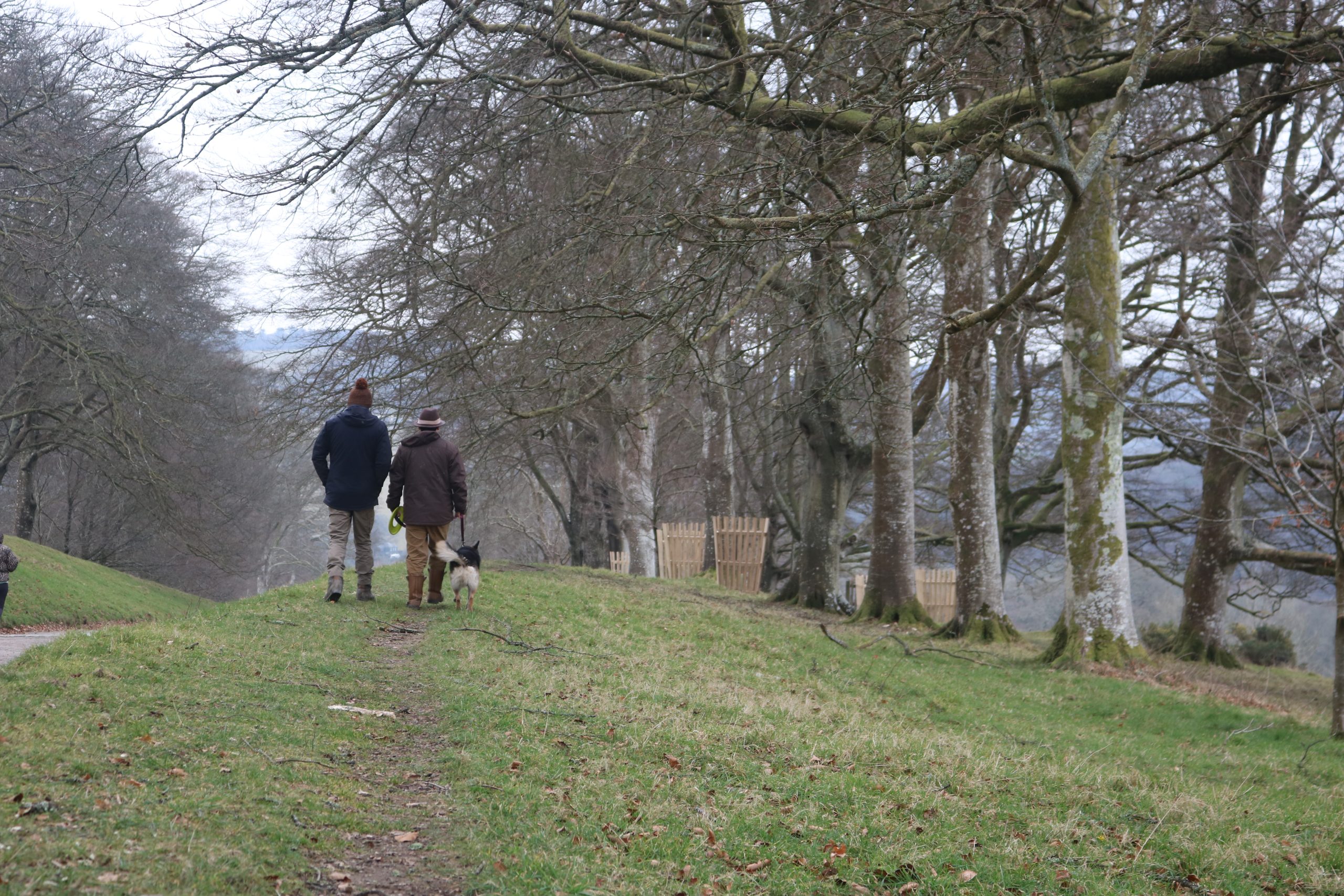 Guided dog walk at Lanhydrock