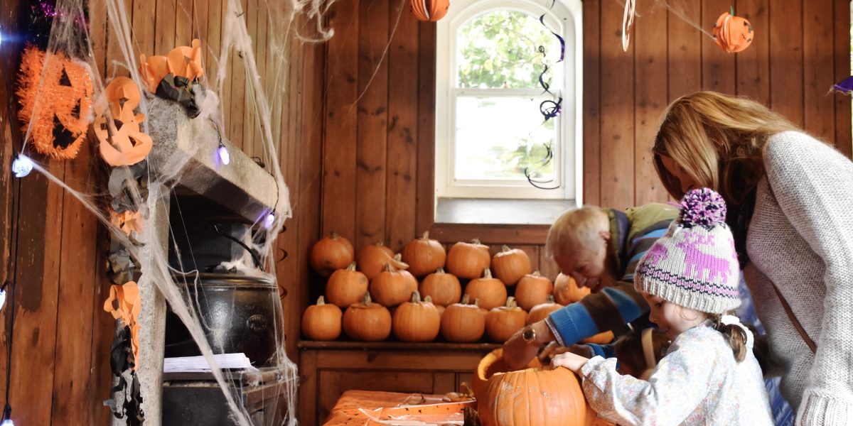 Pumpkin carving in the stables at Trelissick, Cornwa