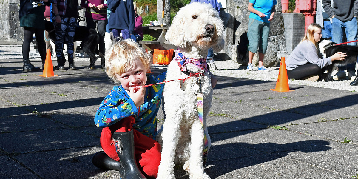 50th Birthday Family Fun Day at Wheal Martyn