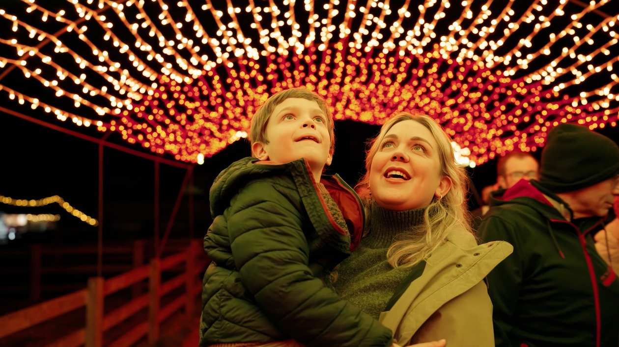 Heligan Night Garden
