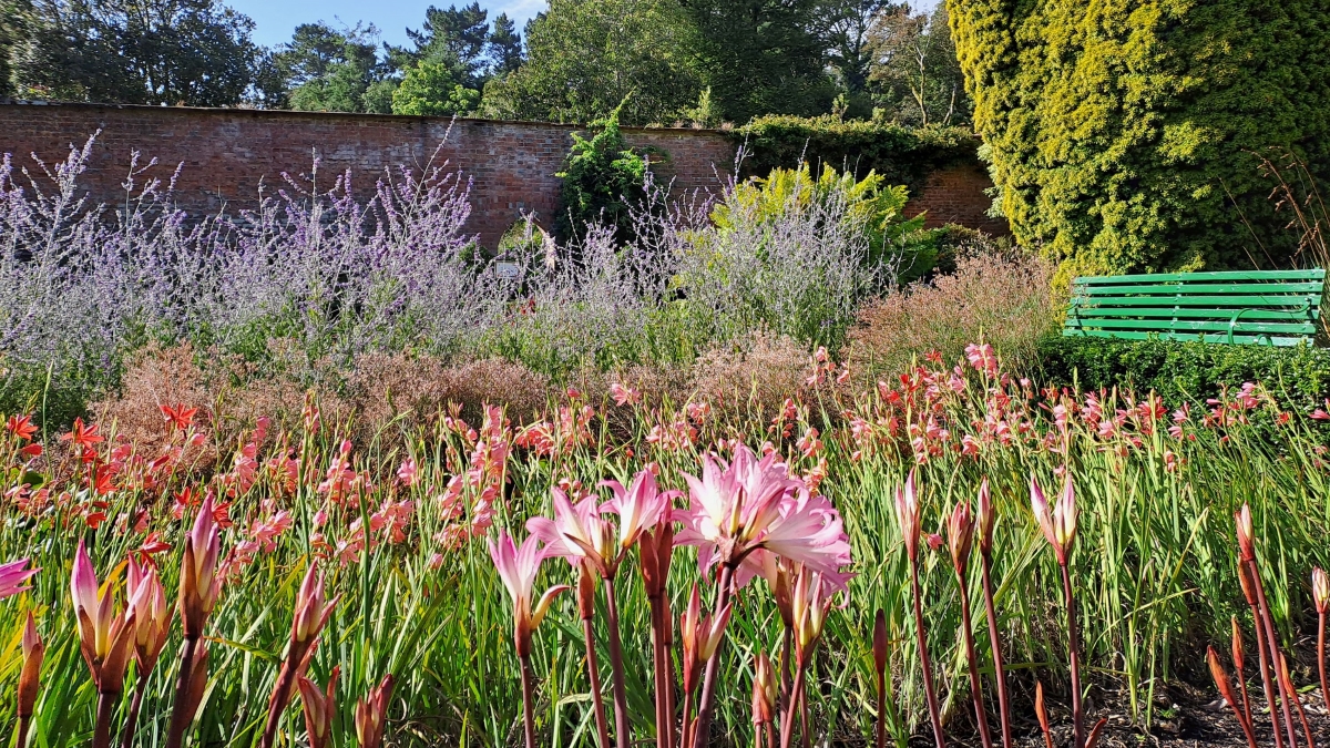 Sensory September at Trengwainton Garden