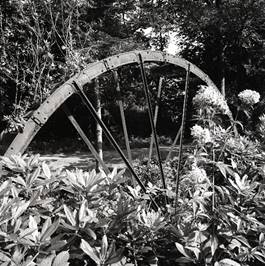Water wheel