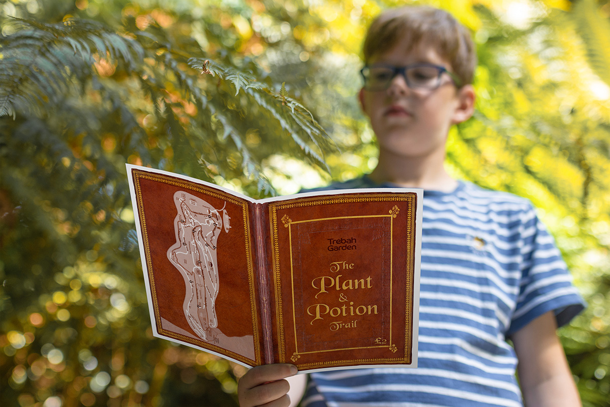 The Plant & Potion Trail At Trebah