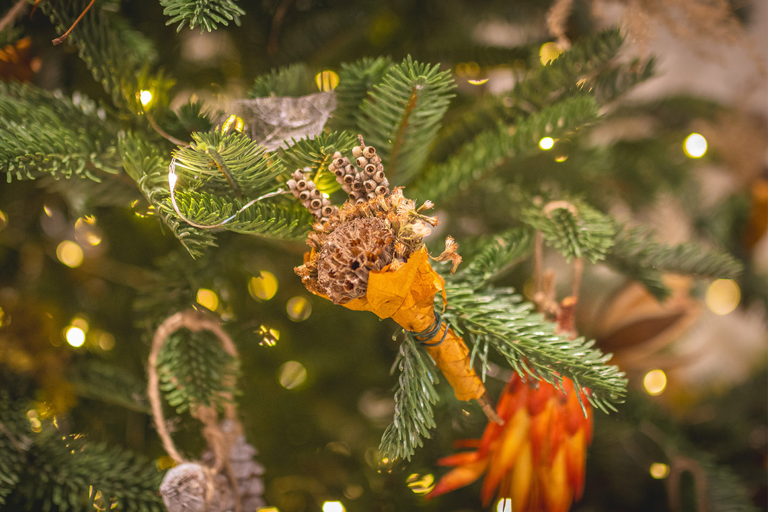 Botanical Christmas Decoration Workshop At Trebah