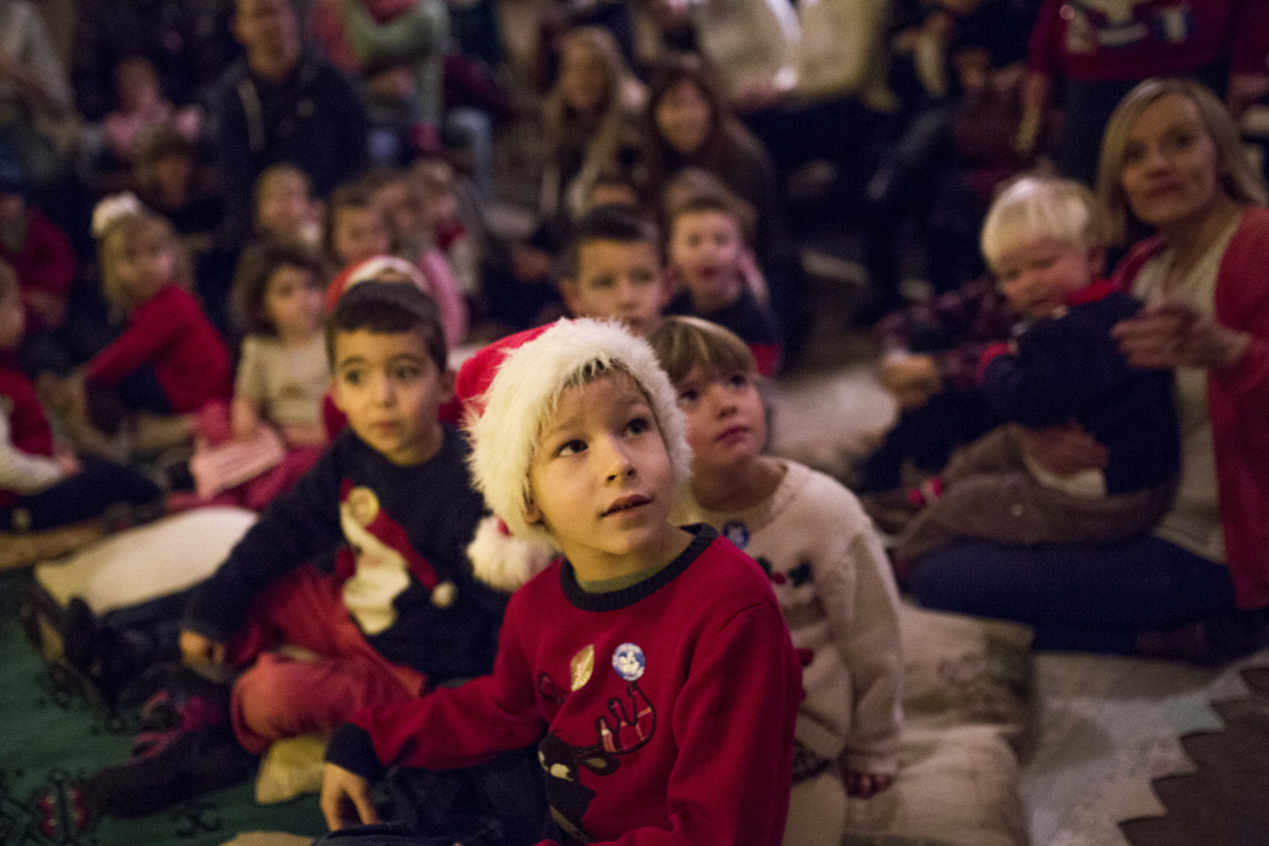 A relaxed audience with Father Christmas at Trelissick