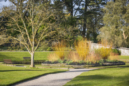 Cotehele Garden