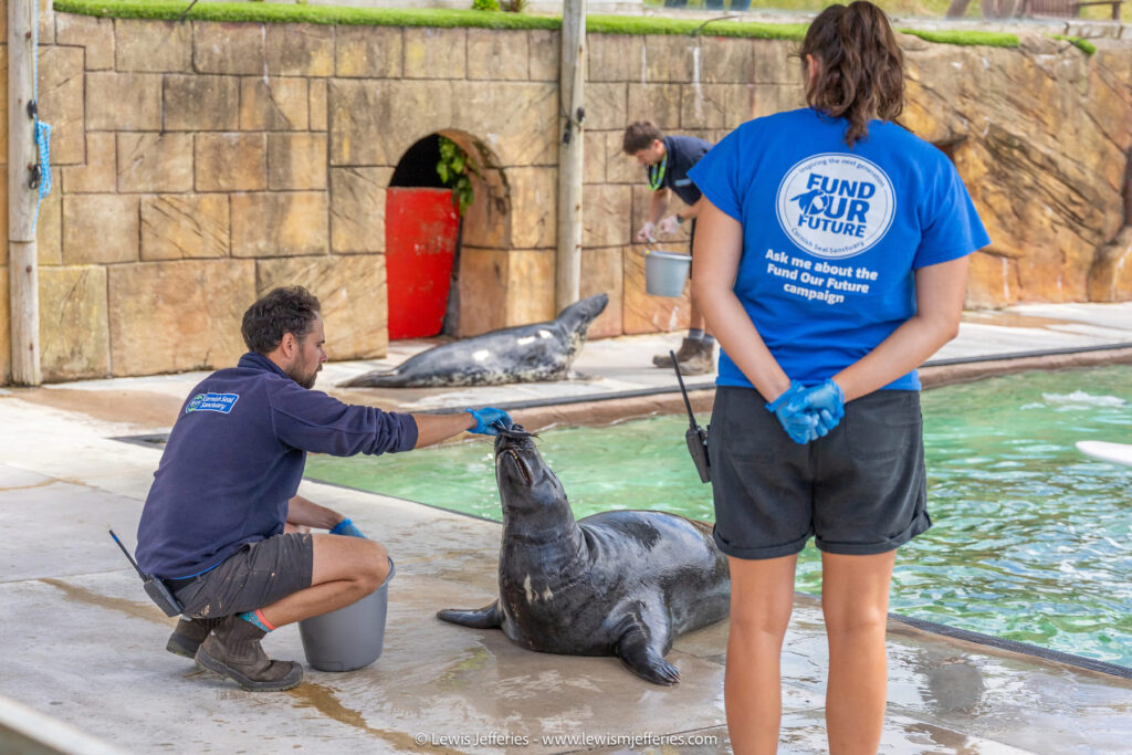Cornish Seal Sanctuary