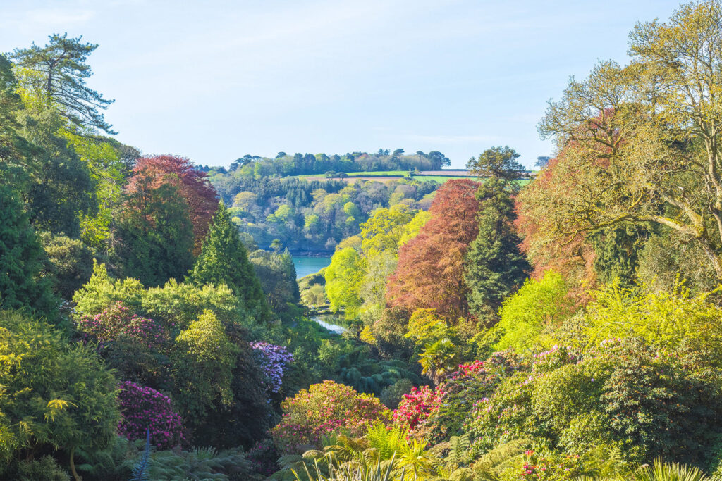 Trebah Gardens