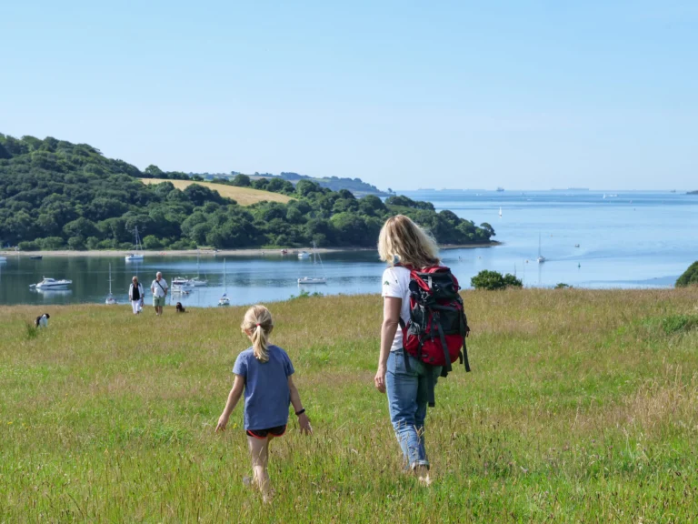 Trelissick