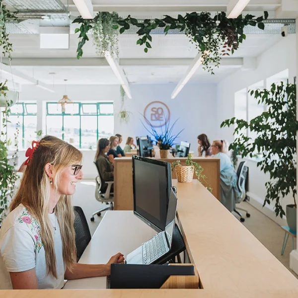 Solve Office Newquay