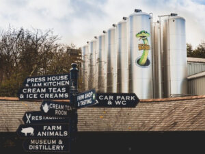 healeys cornish cyder farm 300x225