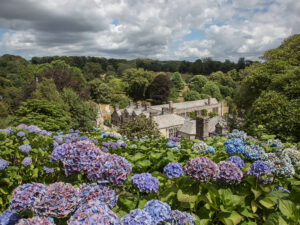 lanhydrock 300x225