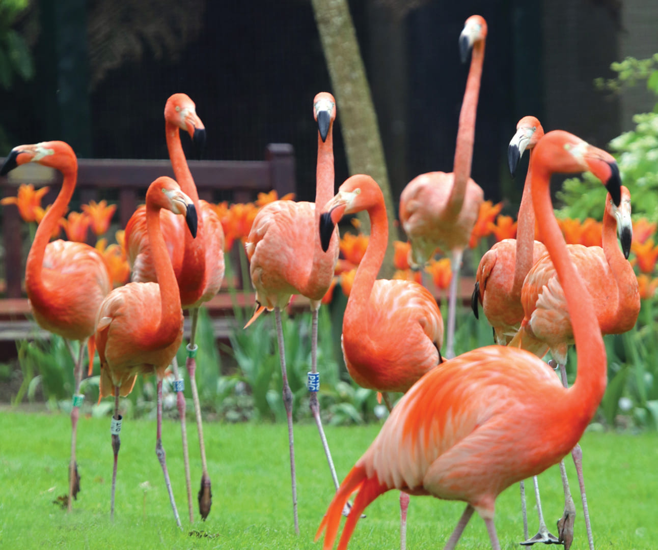 Paradise Park