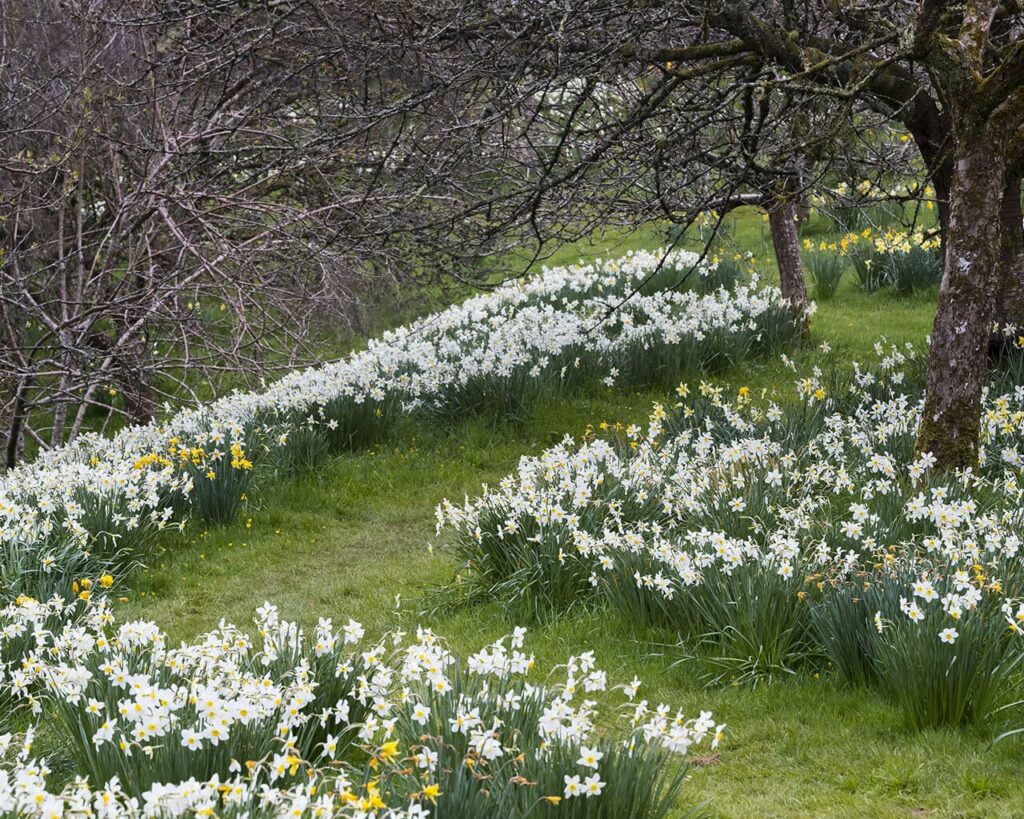 Cotehele Gardens