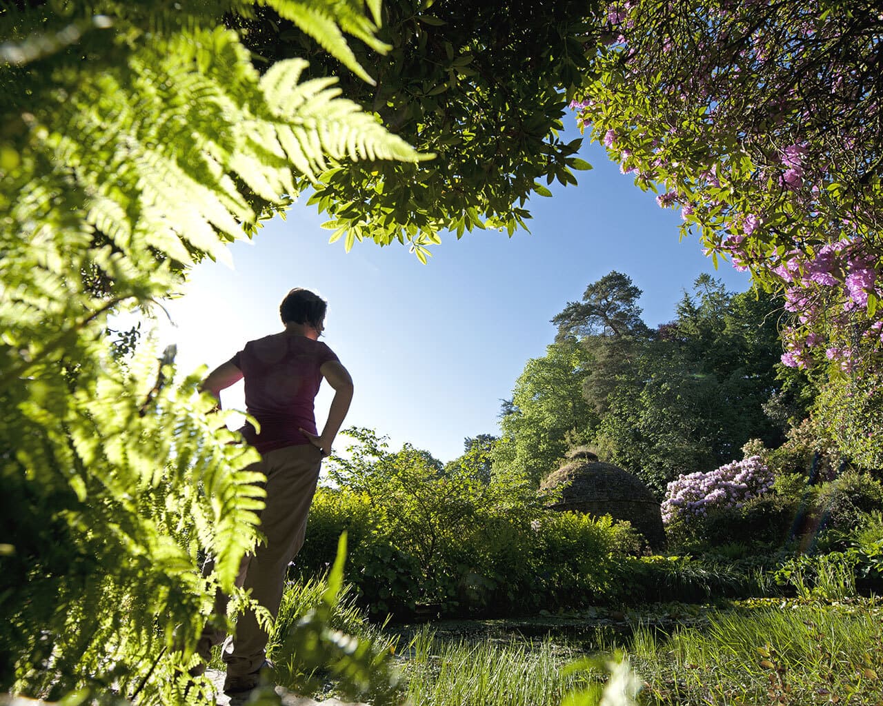 Cotehele Gardens