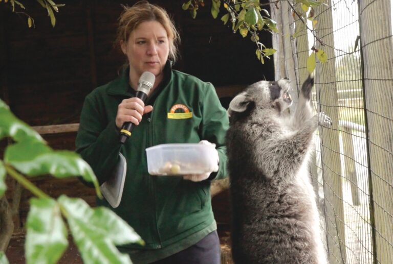 Animal Talk RL 768x517