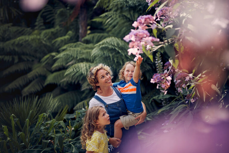Family enjoying Trebah Garden Family enjoying Trebah Garden