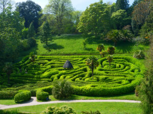 Garden Maze Hilary Daniel 300x225