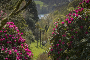 Garden View Chris Lacey 300x200