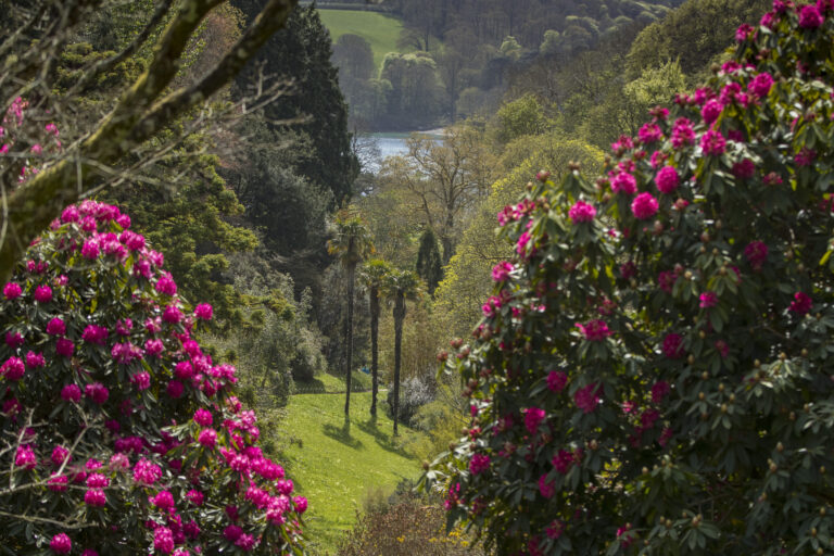 Garden View Chris Lacey 768x512