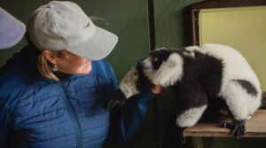 Lemur encounter 30 10 1 1 300x167