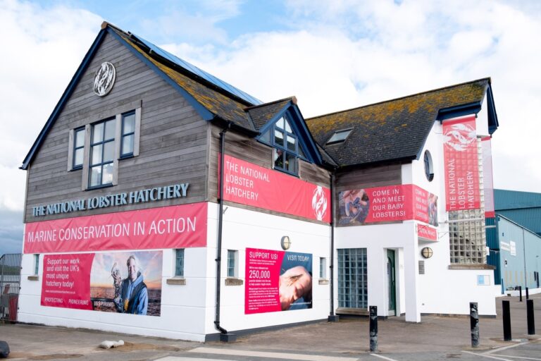 New Banners April 2019 768x512