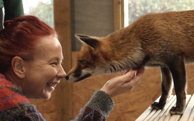 Sally Poppyfox Fox encounter 25 10 768x480