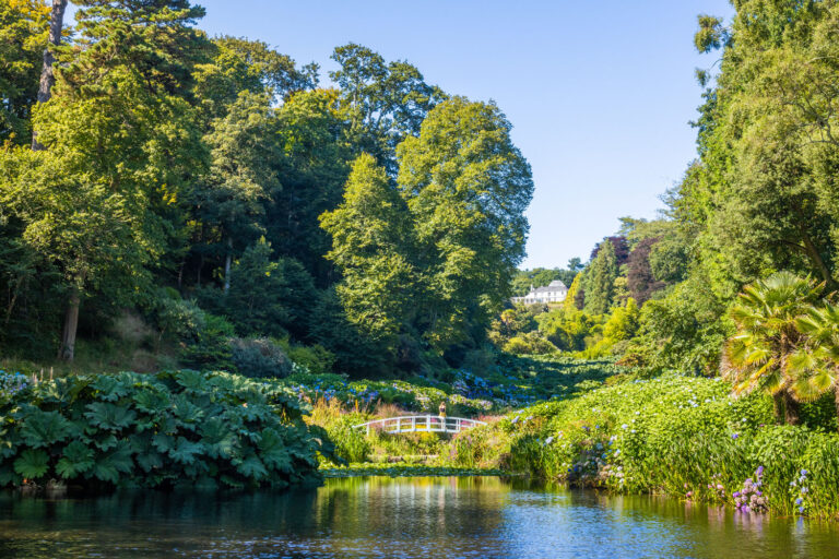 The valley view at Trebah Garden The valley view at Trebah Garden