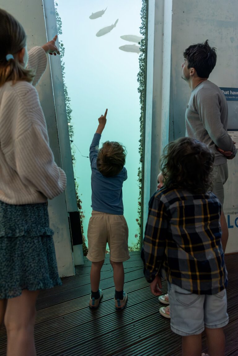 Family visitors spotting marine life in the Tidal Zone at National Maritime Museum Cornwall Family visitors spotting marine life in the Tidal Zone at National Maritime Museum Cornwall